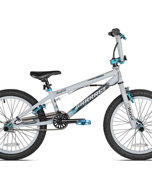 BMX/Freestyle Bike, 20-Inch, Grey/Blue
